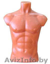 манекен- торс мужской - Изображение #1, Объявление #746870