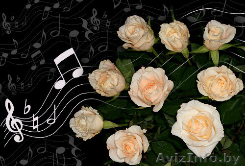 Всё для вашего торжества. - Изображение #1, Объявление #766104