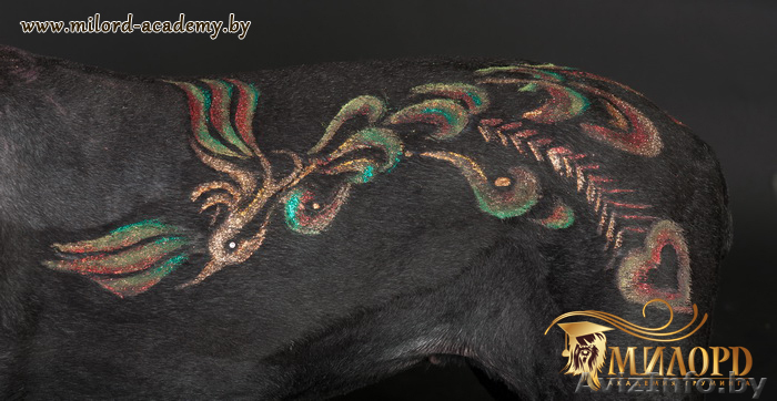 Семинар по креативному грумингу. - Изображение #1, Объявление #775500