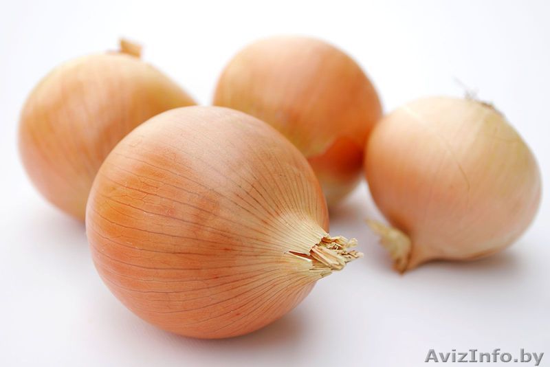 Продаем Лук сорта «Нерато» выращенный в Беларуси - Изображение #1, Объявление #776021