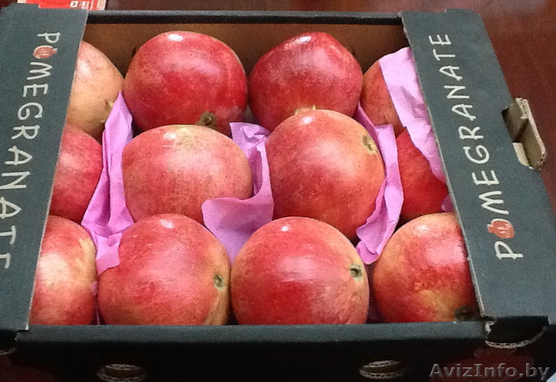 свежие фрукты в наличие и под заказ. - Изображение #1, Объявление #775484