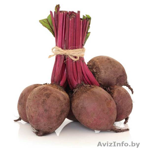 Продаем свеклу сортов Пабло, Фороно, Кестрел выращенную в Беларуси  - Изображение #1, Объявление #776025