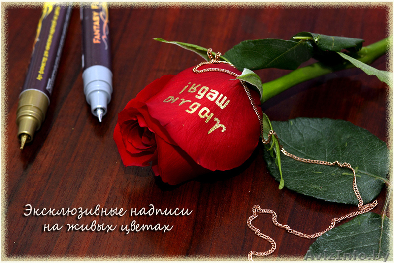 Арт-фломастеры для надписей на живых цветах - Изображение #1, Объявление #788077