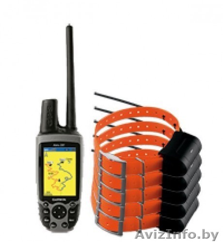  For sale Furuno Fishfinder, Garmin Astro, Fishfinder and  - Изображение #1, Объявление #833337