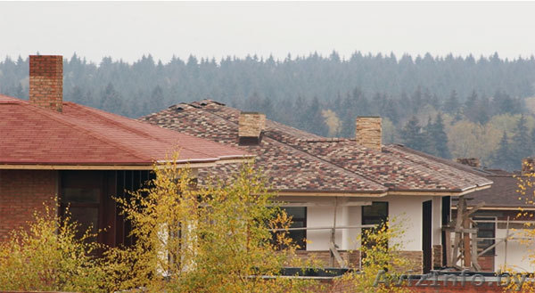 Гибкая черепица Shinglas от первого импортера. - Изображение #1, Объявление #845097