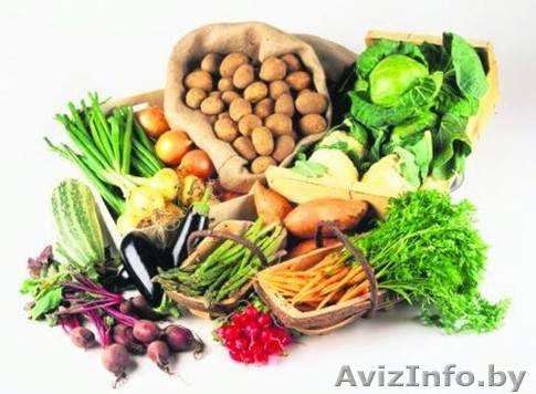 Куплю картофель, лук, свёклу...!!! - Изображение #1, Объявление #862275