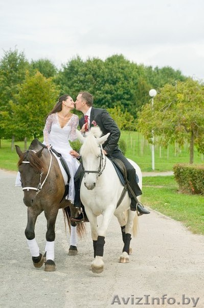 Фотосессия с лошадими в Минске, Малиновка - Изображение #1, Объявление #898832