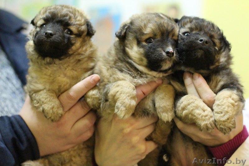 ЛЮДИ помогите детям, ведь в новый год должны происходить чудеса.... - Изображение #1, Объявление #1006330