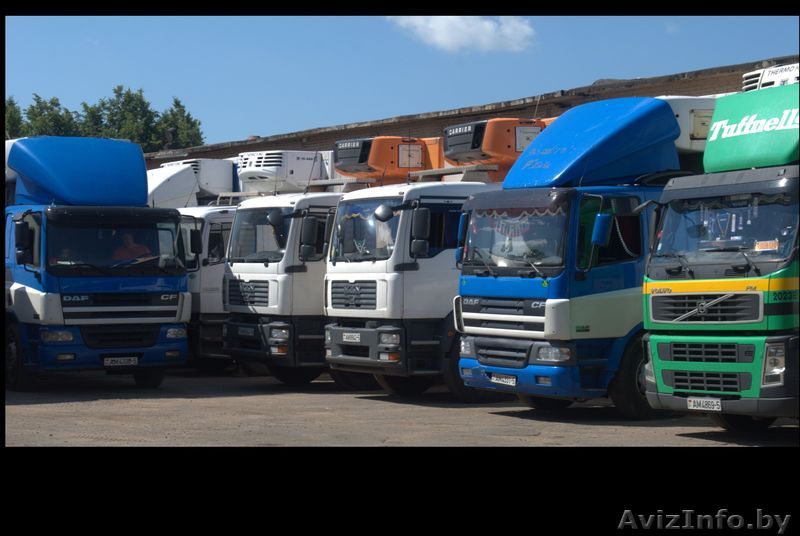 Грузоперевозки по РБ рефрижераторами 6, 8, 14 тонн - Изображение #1, Объявление #1022217