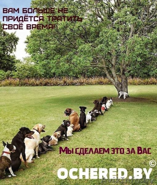 Займем очередь!  - Изображение #1, Объявление #1021982