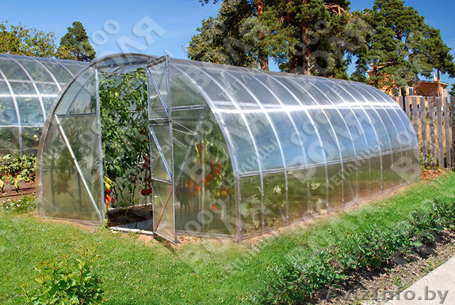 Теплица Воля под поликарбонат - Изображение #1, Объявление #1041890