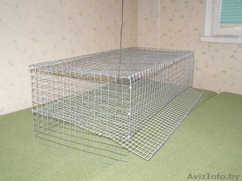 Клетка для перепелов. - Изображение #1, Объявление #1036474