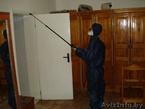 Травля постельных клопов, мышей. - Изображение #1, Объявление #1041402