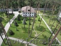 Покос травы,валка деревьев, вырубка кустарников - Изображение #1, Объявление #1056836