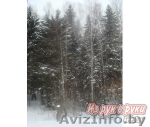 Красивый ухоженный участок. Вокруг чистый лес и озеро. - Изображение #1, Объявление #1070722