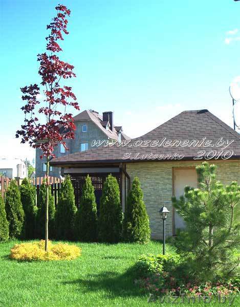 Ландшафтный дизайнер, которого Вы ищете! - Изображение #1, Объявление #1072327