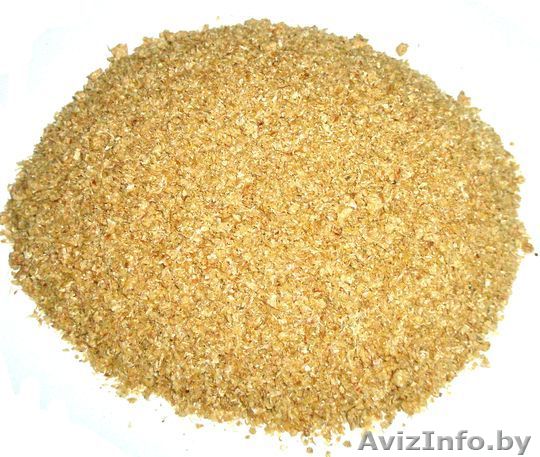 БВМД для КРС и свиней - Изображение #1, Объявление #1081313