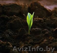 Грунт растительный на основе торфа - Изображение #1, Объявление #1096734