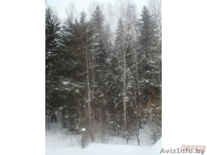 ПРОДАМ Красивый ухоженный участок. д.Вертники - Изображение #1, Объявление #1098394