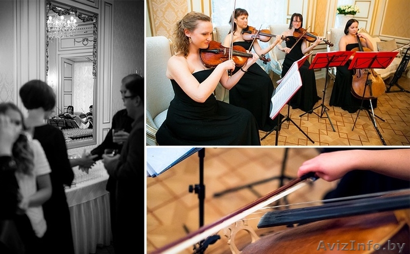 Струнный Квартет на Свадьбу, День рождения,Презентации  - Изображение #1, Объявление #1112207