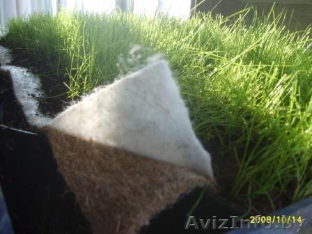 Полотно нетканое геотекстильное с семенами многолетних трав ... - Изображение #1, Объявление #1134599