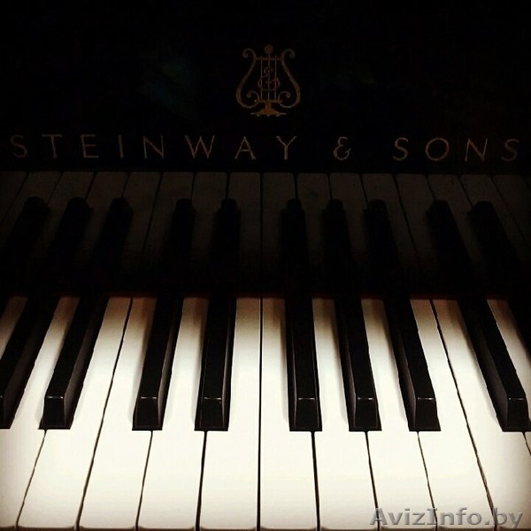 Репетитор по фортепиано, сольфеджио, гармонии с выездом на дом - Изображение #1, Объявление #1138034