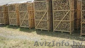 ЗАГОТОВКА РЕАЛИЗАЦИЯ ДРОВ - Изображение #1, Объявление #1152145