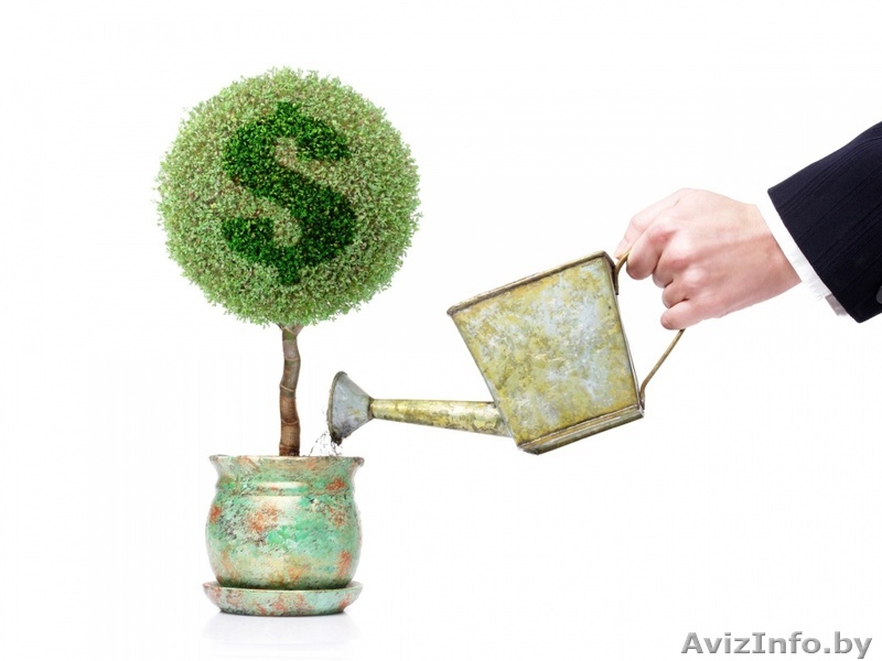 Открываем бизнес "под ключ" в Минске - Изображение #1, Объявление #1144698