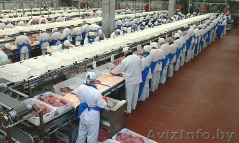 Работа в Польше, мясокомбинат, также погрузчики - Изображение #1, Объявление #979917