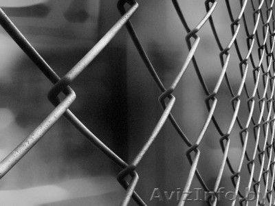 Сетка Рабица! Лучшее предложение! - Изображение #1, Объявление #1170184