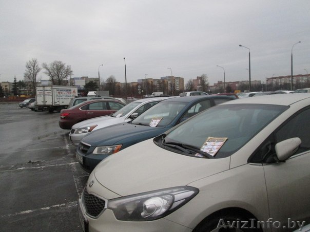 Распространение визиток под дворники авто. - Изображение #1, Объявление #1198350