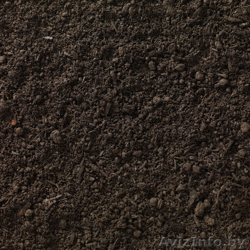 Грунт растительный - Изображение #1, Объявление #1184433
