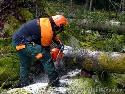 Спилка, выкорчёвывание садовых дервьев - Изображение #1, Объявление #1205285