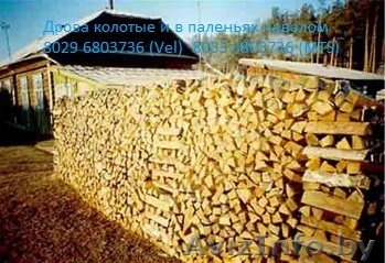 Дрова Колотые (Береза, Ольха, Ясень) Навалом 1м3 - Изображение #1, Объявление #1201759