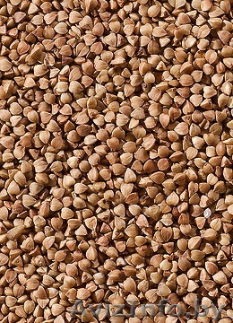 Закупаем постоянно гречку ядрица - Изображение #1, Объявление #1203097