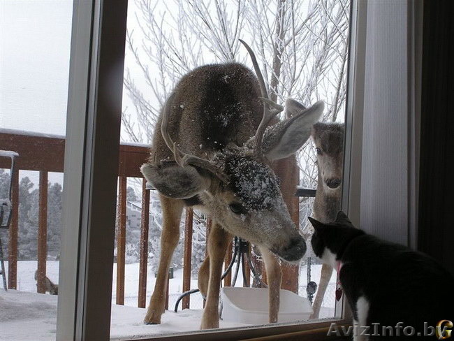 Мойка окон Зимний Вариант - Изображение #1, Объявление #1209119