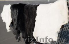 Шкурки кроличьи невыделанные различных цветов - Изображение #1, Объявление #1224275