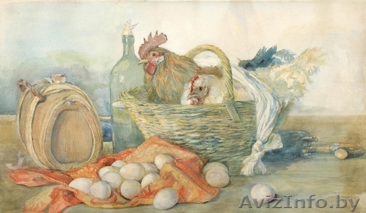 Продаем мясо птицы, свинину, яйца. - Изображение #1, Объявление #1228459