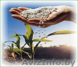 Карбамид,  (минудобрения) по Украине и на экспорт. - Изображение #1, Объявление #1246211