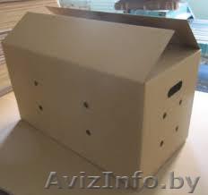 Лоток,Ящик для кондитерских,консервы,масла  - Изображение #1, Объявление #1247427