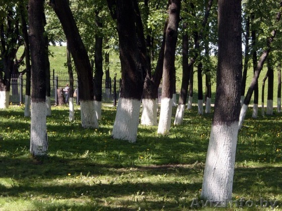 Краска садовая Яблонька для деревьев - Изображение #1, Объявление #1245466