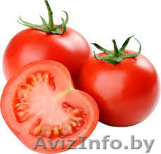 Помидоры из Турции оптом! Дёшево! - Изображение #1, Объявление #1246946