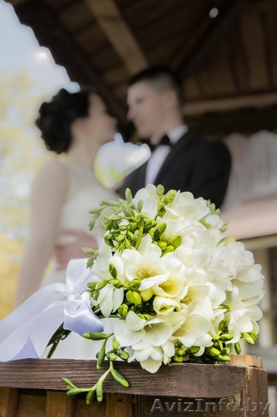 Услуги фотографа, свадебный фотограф - Изображение #1, Объявление #1212728