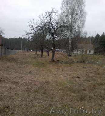 Участок 19 соток для индивидуального строительства 150км от МКАД д.Тартаки - Изображение #1, Объявление #1262960