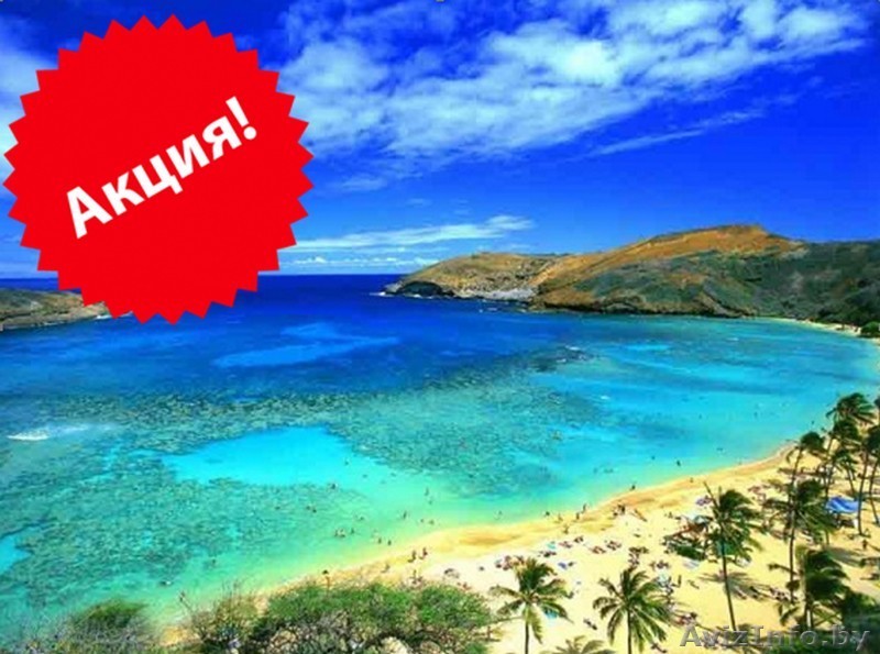 Акция на регистрацию компании в юрисдикции Белиз и открытие счета - Изображение #1, Объявление #1285788