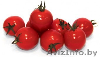 Семена томата CONORY F1 / КОНОРИ F1 фирмы Китано - Изображение #1, Объявление #1296808