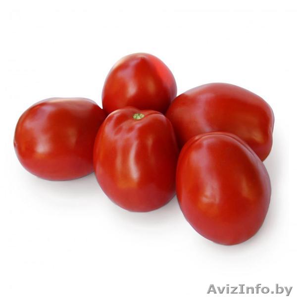Семена томата KS 720 F1 фирмы Китано - Изображение #1, Объявление #1297225