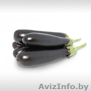 Семена баклажана SAMURAI F1 / САМУРАЙ F1 фирмы Китано - Изображение #1, Объявление #1296813