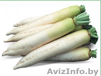 Семена редиса дайкон TITAN / ТИТАН фирмы Китано - Изображение #1, Объявление #1296811