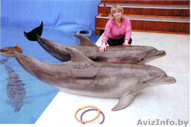 Выход из безвыходного...Консультация психолога - Изображение #1, Объявление #1319018